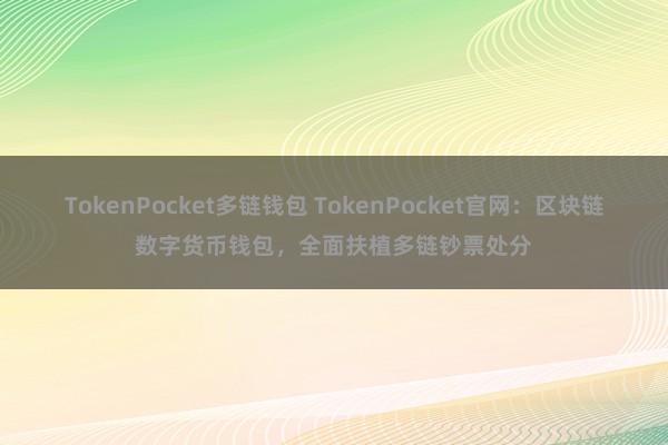 TokenPocket多链钱包 TokenPocket官网：区块链数字货币钱包，全面扶植多链钞票处分